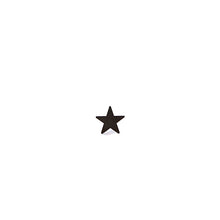 Carica l'immagine nel visualizzatore di Gallery, ANELLO STAR NERO - malikaforhappypeople